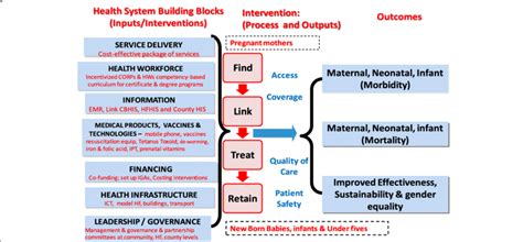 Conceptual Framework Linking Health System Inputs Process Outputs My