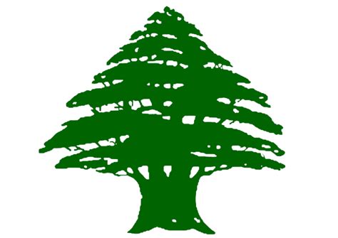 Jun 06, 2021 · فتحت النيابة المالية الوطنية في فرنسا تحقيقا أوليا حول ثروة حاكم المصرف المركزي اللبناني، رياض سلامة، في أوروبا، وفق ما أفاد مصدر قضائي وكالة فرانس برس Al Mohajer