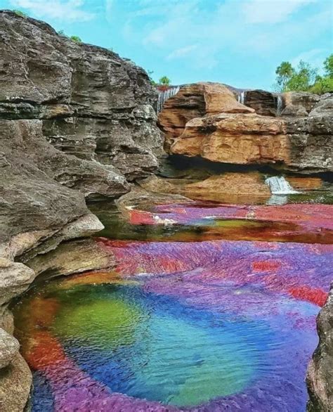 The Caño Cristales River Is A Mesmerizing Swirl Of Vibrant