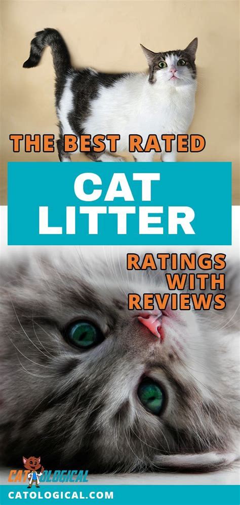 But by taking your customers' need for it begins with one simple idea. Choosing a good kitty litter is a big choice. A lot of ...