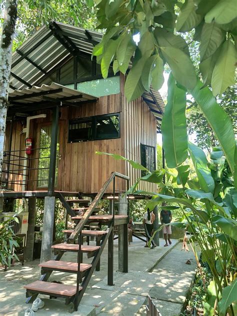Bannaimong Treehouse Ranong Thaïlande Tarifs 2024