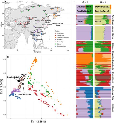 Genome Wide Data From Two Early Neolithic East Asian Individuals Dating