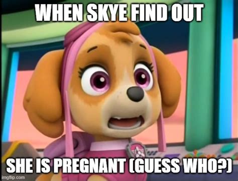 Skyes Pregnancy Reaction Imgflip