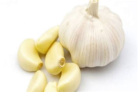 Cepat la pergi cari kedai cari benda tu! Makanan Tambah Susu Badan Yang Sangat Berkesan Untuk Para ...