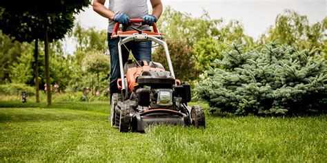 How And When To Mow The Perfect Lawn Grass Cutting Tips Which