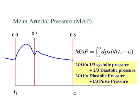 Ppt Blood Pressure Regulation Powerpoint Presentation Free Download