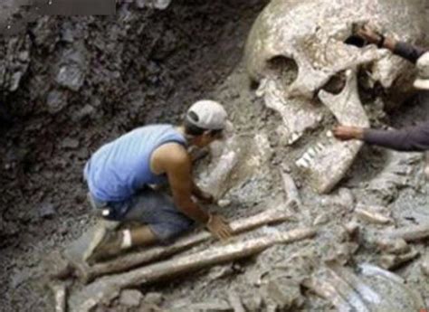 大揭秘：考古發現史前巨人，遺骨高達5米 每日頭條