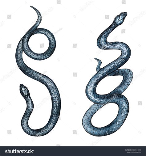 Set Watercolor Snakes Illustration Isolated Stock Illustration 1304574898