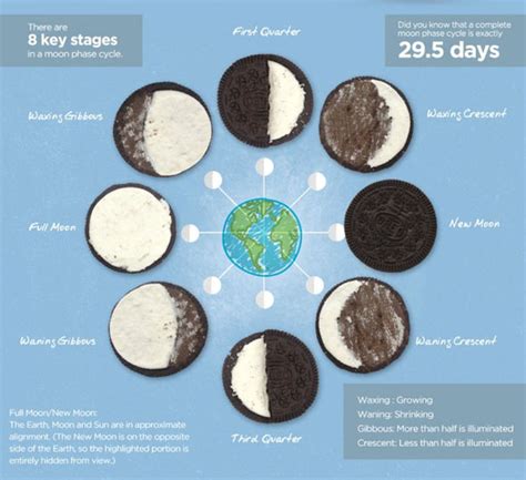 Moon Phases Explained With Oreos Foodiggity