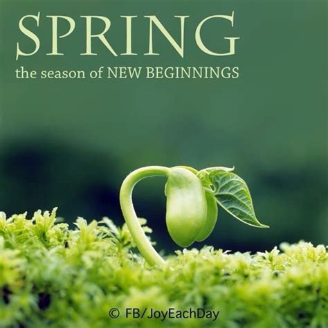 Spring Is The Season Of New Beginnings Spring Quotes Garden Quotes