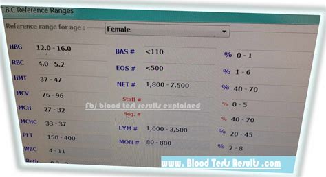 Cbc Normal Values For Adult Female Blood Test Results Explained