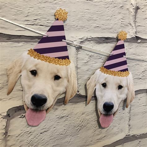 Paw-some Dog Birthday Party Ideas 2022 | Taste of Home