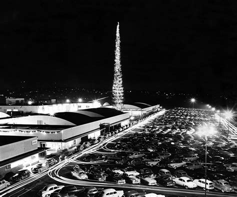 Northgate Center Lights The Worlds Tallest Christmas Tree A 212