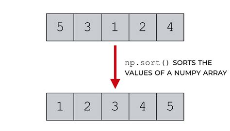 Introduction To Numpy Tutorial Numpy Array Sorting Vrogue Co