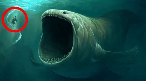 10 Most DANGEROUS Ocean Creatures In The World! - YouTube