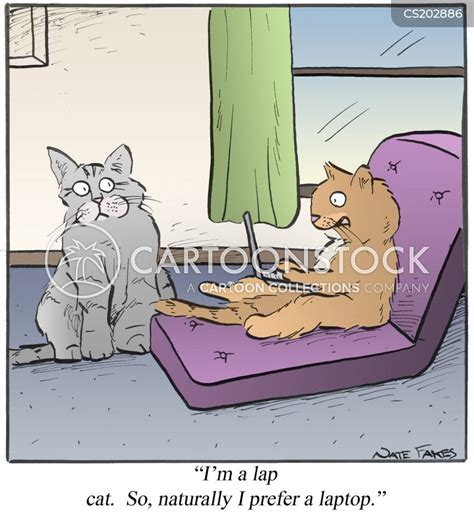 Cat On Lap Comic Cat Meme Stock Pictures And Photos