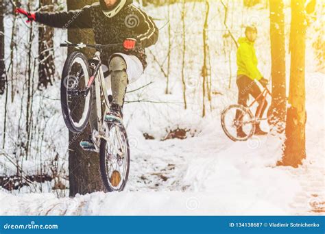 Mountain Biking In Snowy Forest Editorial Photography Image Of