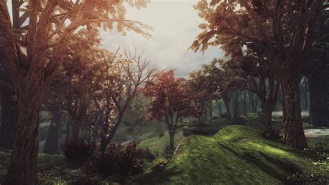 Update Forthcoming For Dark Forests Of Skyrim At Skyrim Nexus Mods