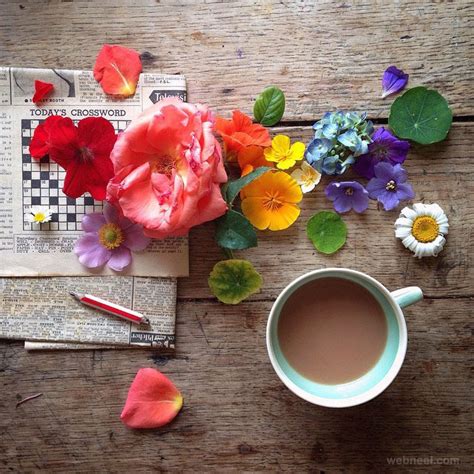 20 Beautiful Still Life Flower Photography Examples By Philippa Stanton