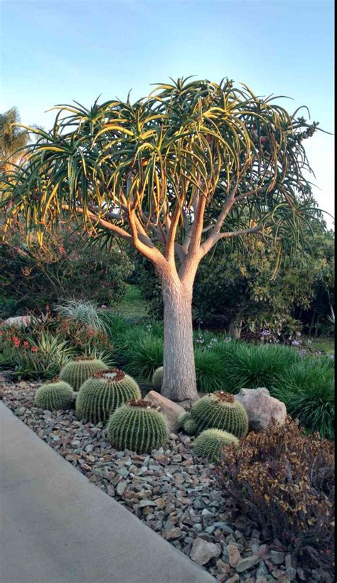 It can result in it exposed tree roots, a few unwanted plants growing, and bare. 15 Ideas for Landscaping Around Trees