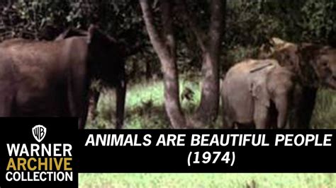 Original Theatrical Trailer Animals Are Beautiful People Warner