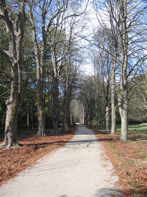 We did not find results for: Lainzer Tiergarten @Vienna | The Lainzer Tiergarten is a ...