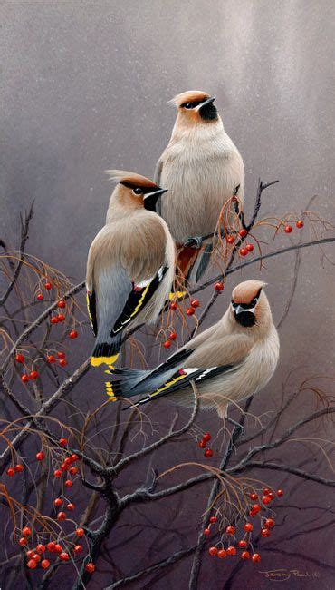 Galleries Jeremy Paul Wildlife Artist Birds Painting Wildlife