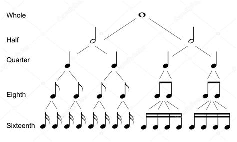 Learn music note names on musical staff, type of notes, time value, duration, names of keys on piano here's a diagram showing music note names of the treble and bass clef and where these notes are let's now take a look at different types of notes. Types of musical notes — Stock Vector © soloviika #115070250