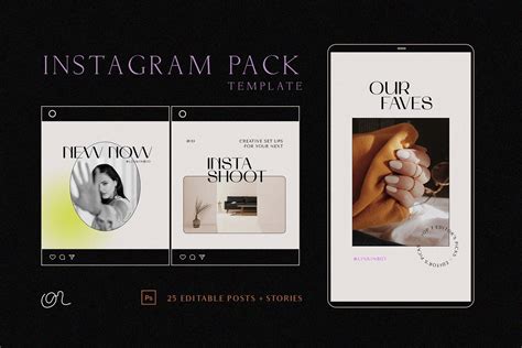 Stylish Instagram Posts And Stories Template Creative Market