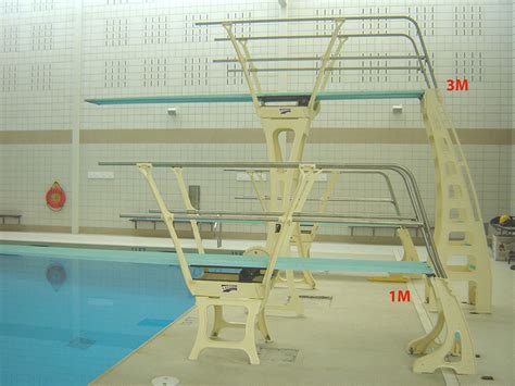 Duraflex Durafirm 1 Meter Dive Stand With Double Rail Both Sides No