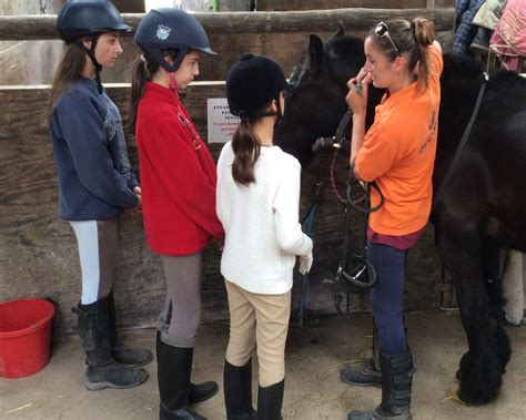 Equestrian Camp In The Uk Summer Horse Camps The Uk Campus 2021