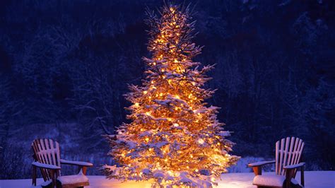 Download Christmas Tree Chairs Winter Christmas 2017 Holiday