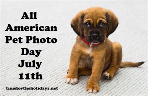 American pet spa & resort. All About July 11th | Time for the Holidays