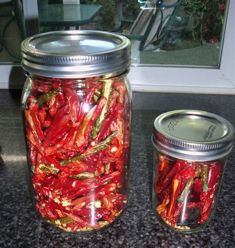 Dehydrating Bell Peppers Dehydrating Storing And Few Tips