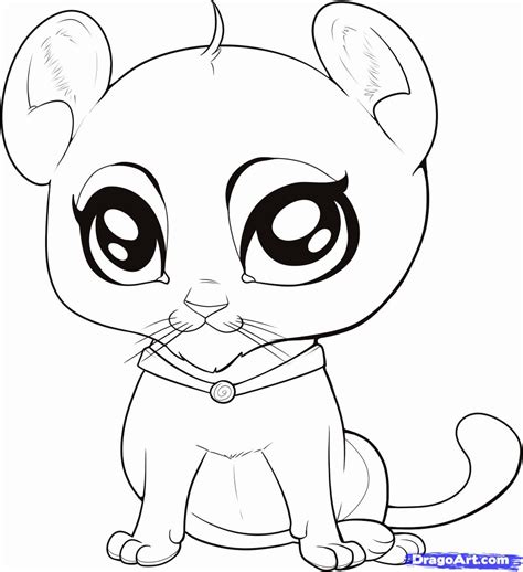 Pics Of How To Draw Cute Baby Animals Coloring Page Coloring Home