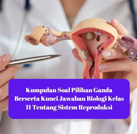 Kumpulan Soal Pilihan Ganda Berserta Kunci Jawaban Biologi Kelas 11 Tentang Sistem Reproduksi