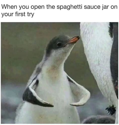Penguins Meme Blank
