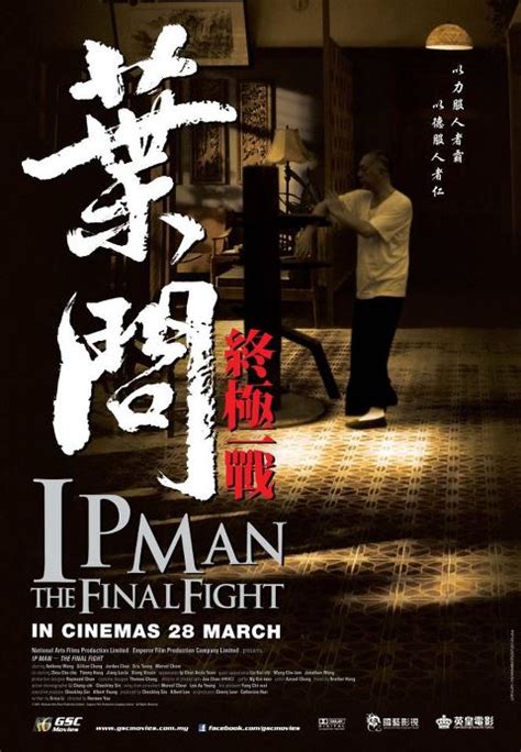 The final fight's avc encoded 1080p transfer in 2.38:1 is nicely sharp and often very well detailed, though some of the film's cgi (including a long aerial shot supposedly establishing hong kong) look pretty lackluster. Ip Man: The Final Fight (2013) | Movie review ...