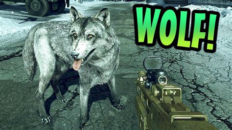 Cod Ghosts Wolf Scorestreak Gameplay New Wolf Skin Guard Dog