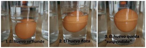 Experimento Del Huevo Que Flota ExperCiencia