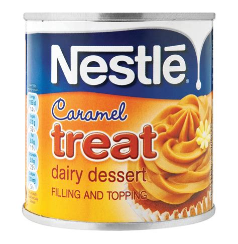 Nestle Caramel Treat Dairy Dessert 360g The Cape Grocer