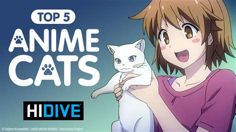 The Top 5 Anime Cats On Hidive