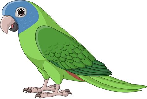 Premium Vector Cartoon Blue Crown Conure Parrot