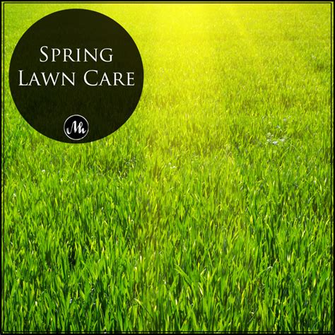 Spring Lawn Care Mindy Hibbard Real Estate Team