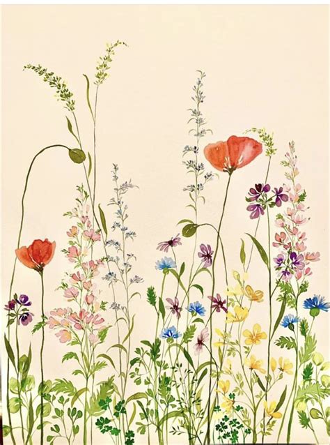 Pin By 진학 김 On 옥 Watercolor Flower Art Wildflower Paintings Flower