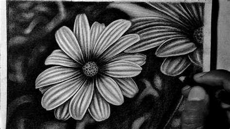 How To Draw A Realistic Flower With Pencil