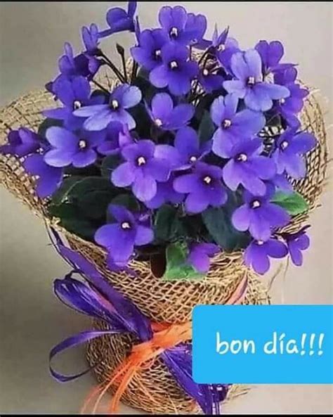Purple Flowers Are In A Burlock Wrapped Basket With Orange Ribbon On