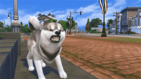 The Sims 4 Cats And Dogs Review