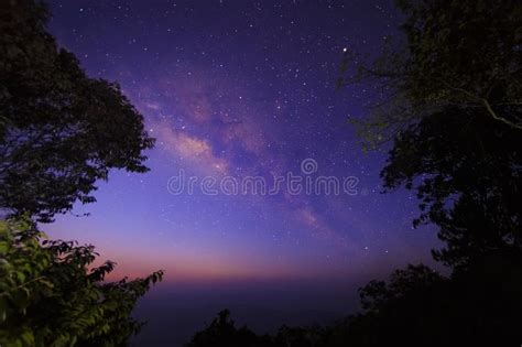 Milky Way Galaxy And Silhouette Of Trees In The Mountains Night Scene