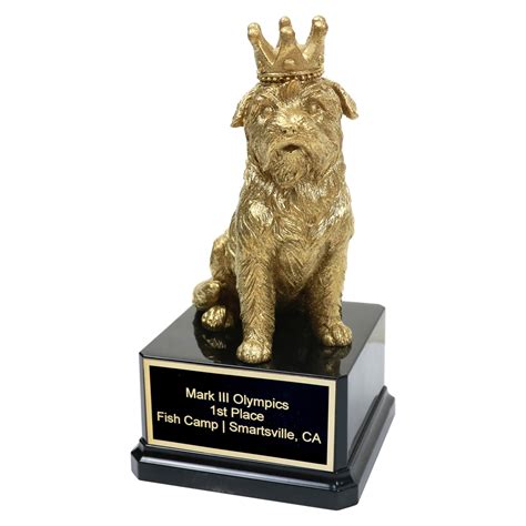 Golden Dog Award Far Out Awards